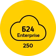 Лицензия Битрикс24 тариф Энтерпрайз 250