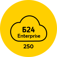 Лицензия Битрикс24 тариф Энтерпрайз 250